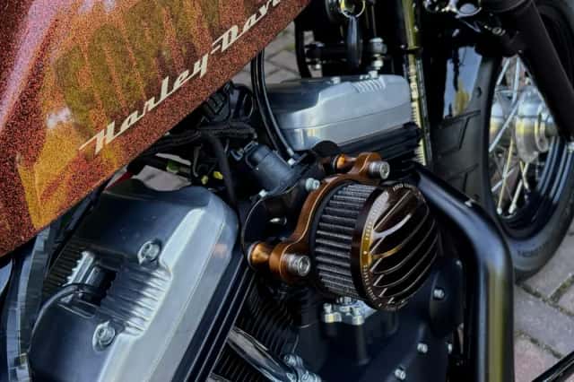 Harley-Davidson Sportster 1200 (2011) thumbnail 5
