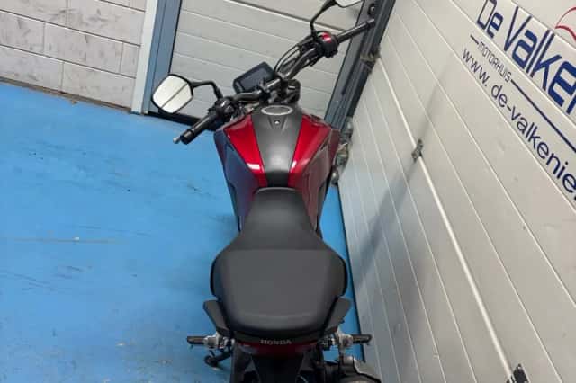 Honda CB300R (2024) thumbnail 4