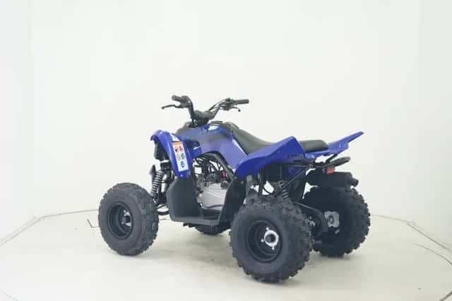 Yamaha Yfm 110 (2026) thumbnail 6