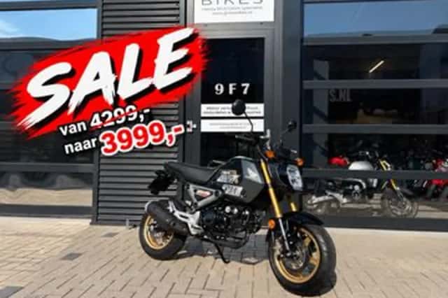 Honda MSX 125 (2024) thumbnail 1