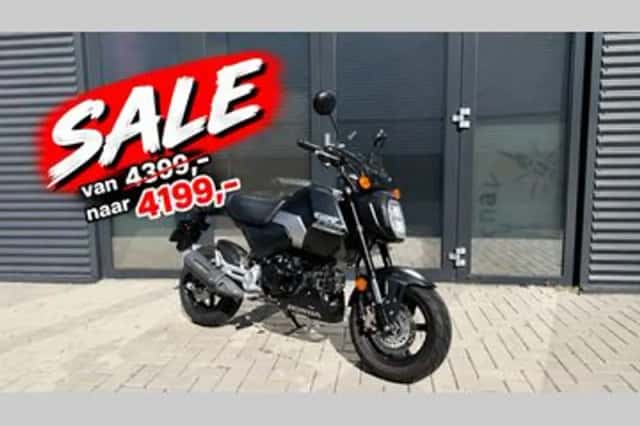 Honda MSX 125 (2026) thumbnail 1
