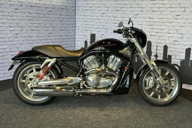 Harley-Davidson Street Rod (2005) thumbnail 2