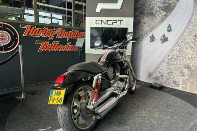Harley-Davidson Street Rod (2005) thumbnail 6