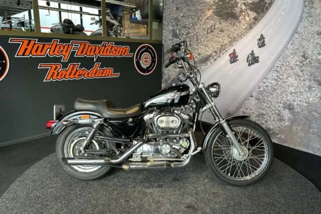 Harley-Davidson XL1200C (2003) thumbnail 2