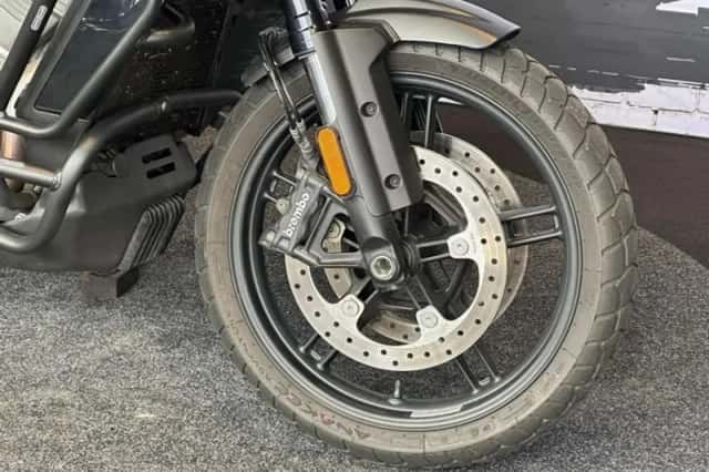 Harley-Davidson Pan America (2022) thumbnail 6