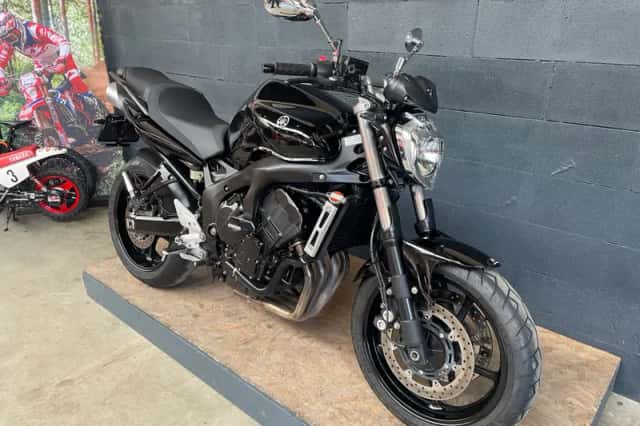 Yamaha FZ 6N (2009) thumbnail 3