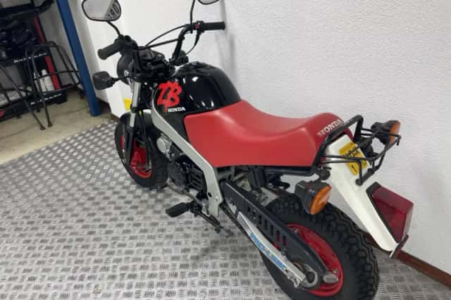Honda ZB 50 ZB50 BOVAGGARANTIE (1988) thumbnail 4