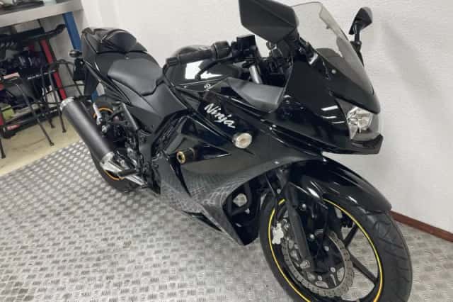 Kawasaki Ninja 250 (2010) thumbnail 5