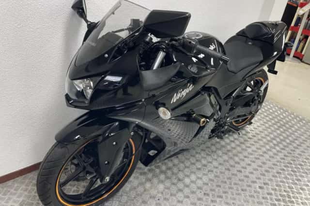 Kawasaki Ninja 250 (2010) thumbnail 6