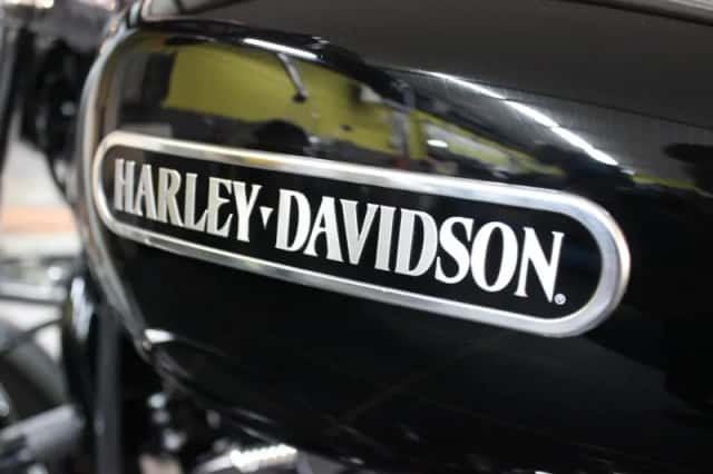 Harley-Davidson Sportster 1200 (2006) thumbnail 3