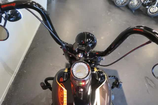 Harley-Davidson Softail (2020) thumbnail 5