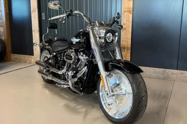 Harley-Davidson Fat Boy (2021) thumbnail 2