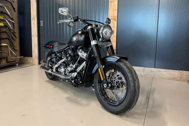 Harley-Davidson Softail Slim (2020) thumbnail 2