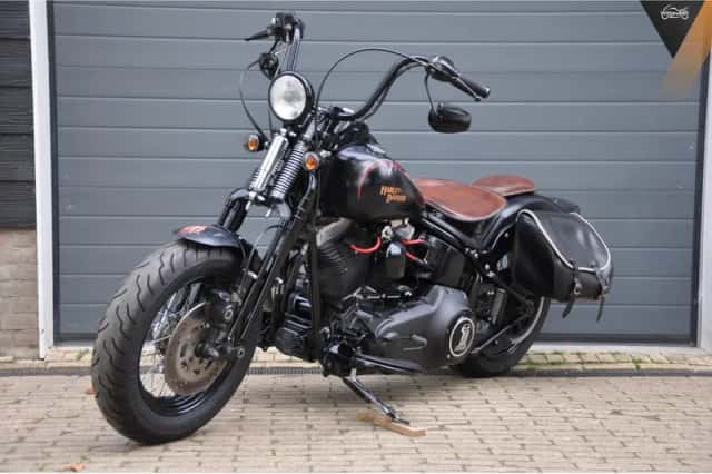Harley-Davidson Cross Bones 5HD FLSTSB (2009) thumbnail 6